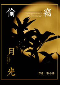 偷窃月光(百合ABO)